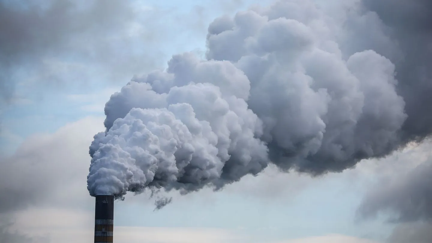 Klimaschutz und Wirtschaft: Ifo: Unternehmen halten sich bei Klima-Investitionen zurück