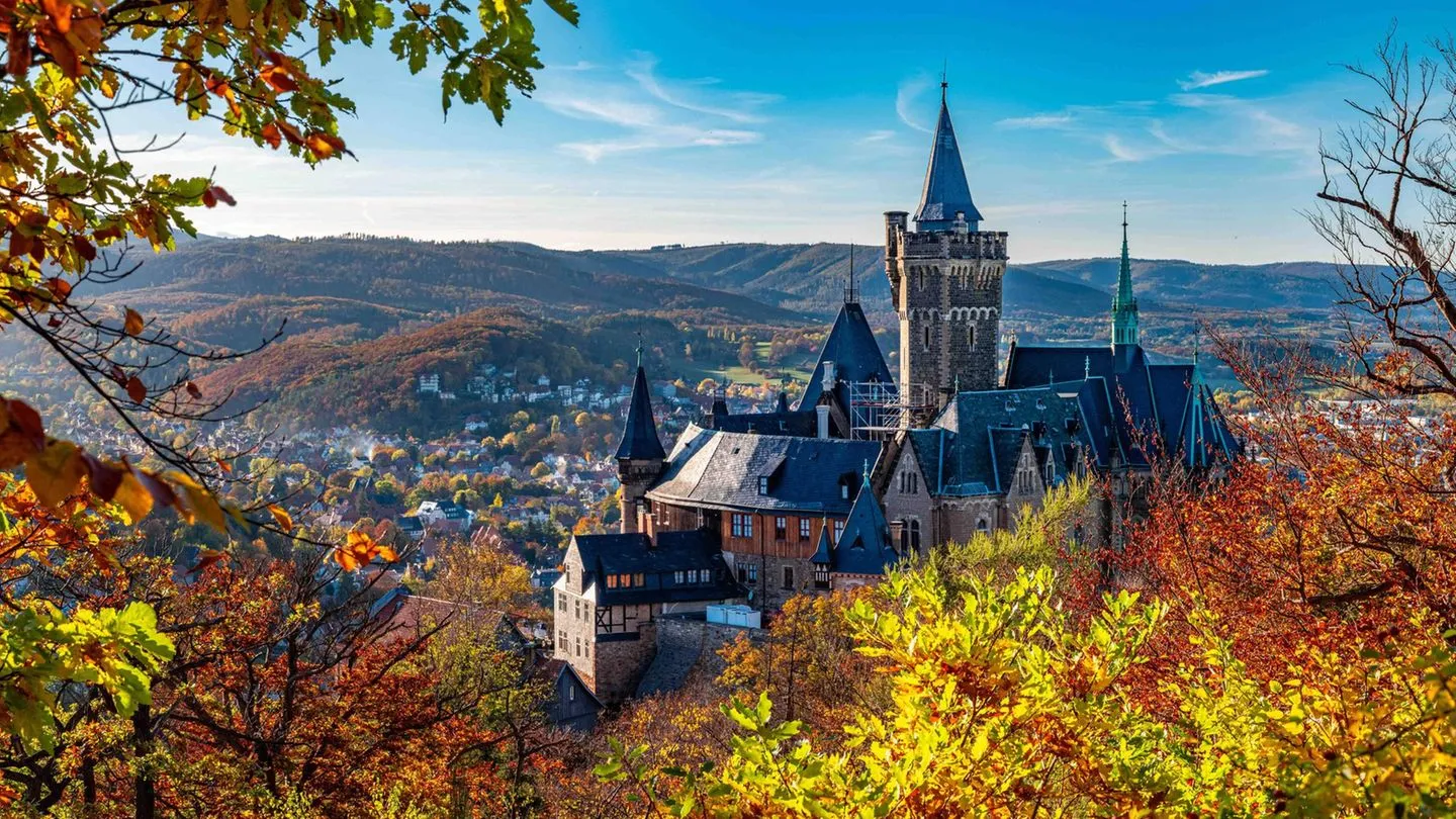 Landtagswahl in Sachsen-Anhalt: Chemie, Kultur und ein herausgefordertes CDU-Kernland – die wichtigsten Fakten